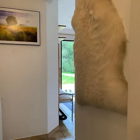 Lejlighed Samostatny Se Zahradou *