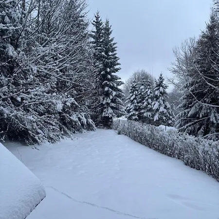 Lejlighed Samostatny Se Zahradou Bedřichov