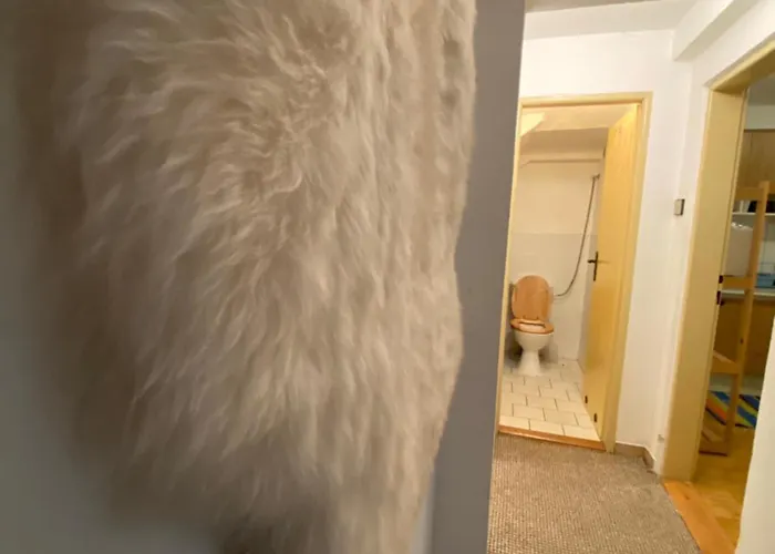 Samostatny Se Zahradou Apartman *