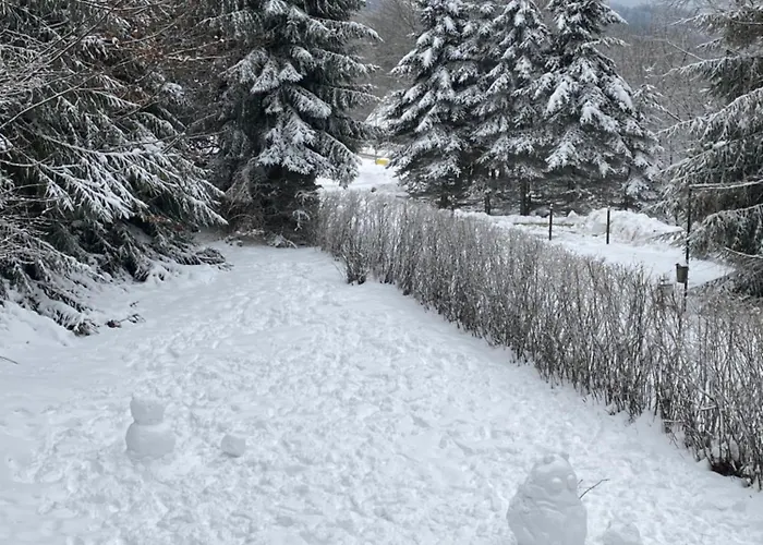 Samostatny Se Zahradou Bedřichov