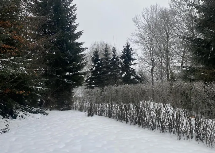 Samostatny Se Zahradou * Bedřichov